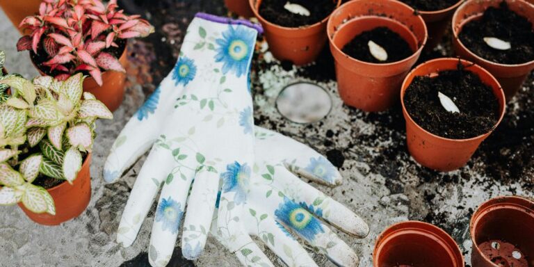 Malt Garden Seed Swap and Open Garden