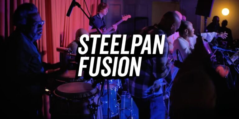 Steelpan Fusion